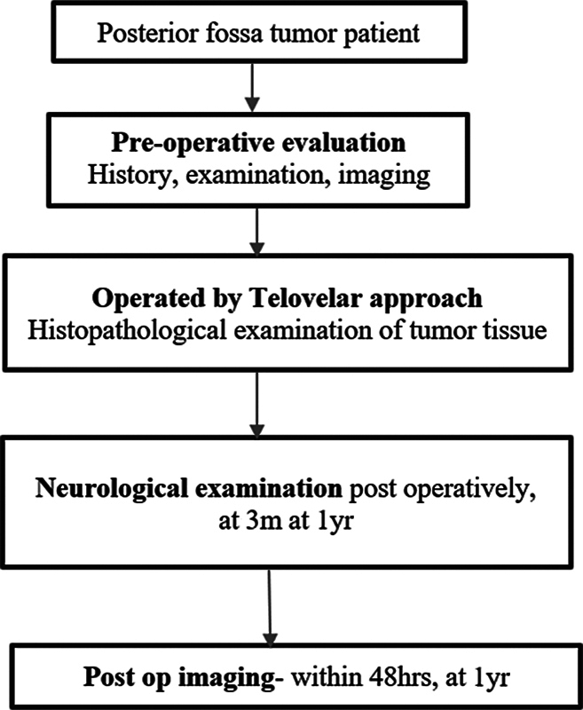 Cerebellar Mutism/Posterior Fossa Syndrome Following Resection of Posterior Fossa Tumor in Pediatric Patients: Assessing Pathophysiology, Risk Factors, and Neuroradiographic Features.