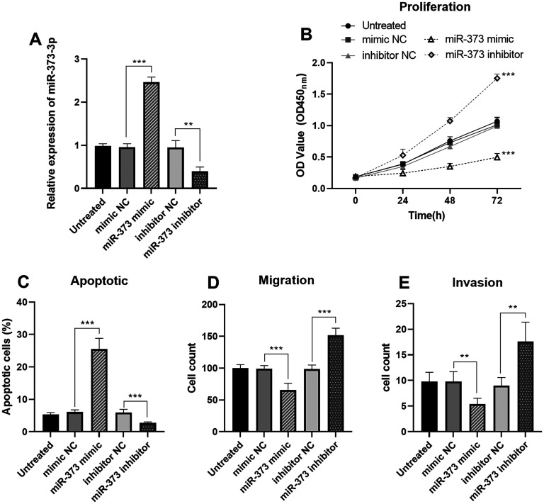 Clinical Value and Potential Molecular Mechanism of miR-373-3p in Coronary Atherosclerosis.