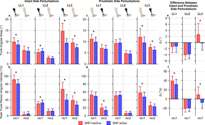 A sensory neuroprosthesis enhances recovery from treadmill-induced stumbles for individuals with lower limb loss.