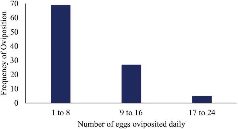 The life history and mosquito consumption dynamics of Notonecta indica (Hemiptera: Notonectidae) in eastern Jamaica.