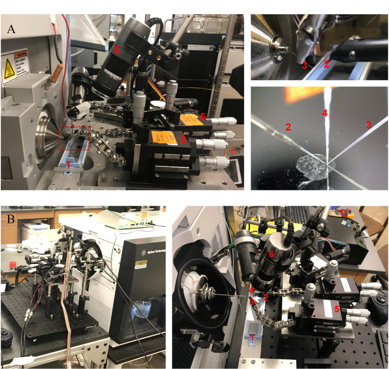 [Recent progress in mass spectrometry imaging using nanospray desorption electrospray ionization].