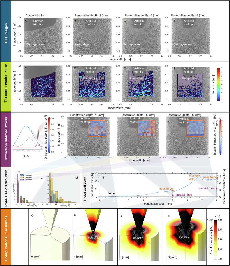 Coupled X-ray imaging/diffraction reveals soil mechanics during analogous root growth.