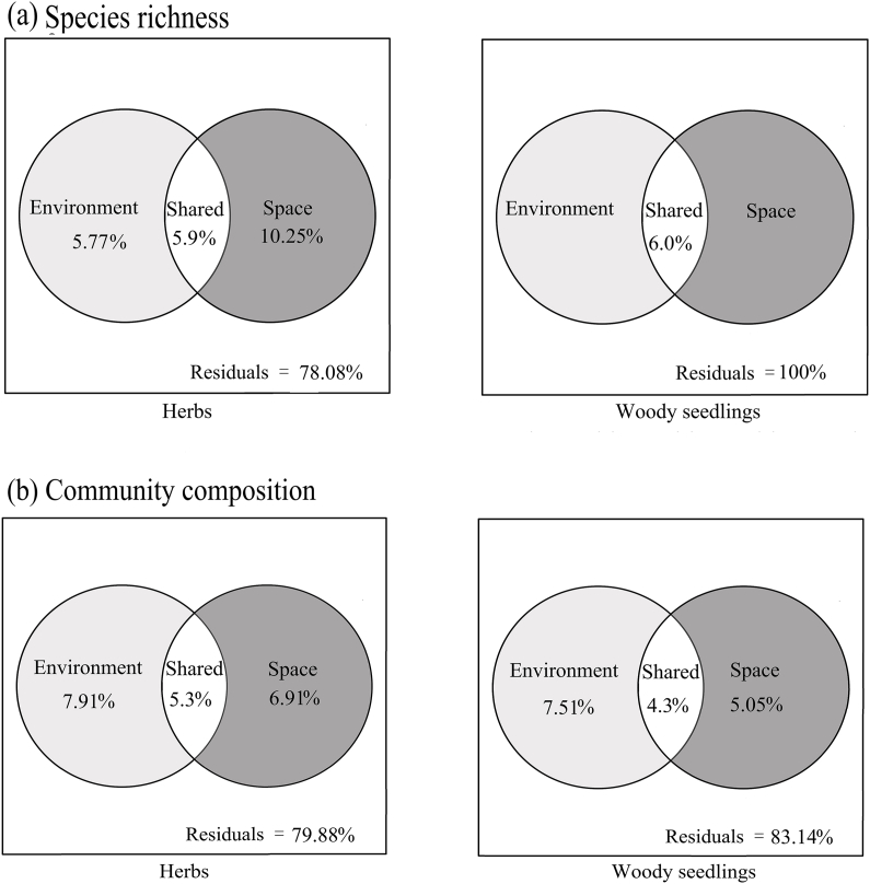 Environmental drivers of herbaceous plant diversity in the understory community of a warm-temperate forest.