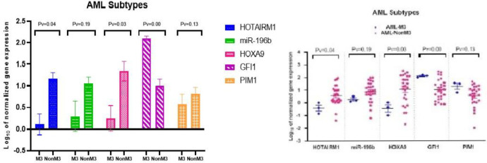 Evaluation of HOTAIRM1, miR-196b, and HOXA9 as Oncogenic Markers in Patients with Acute Myeloblastic Leukemia.