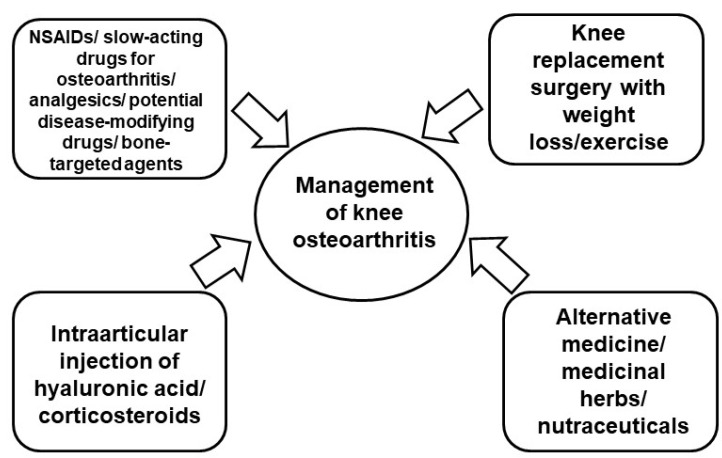 Intra-Articular Injection of Stem Cells for the Regeneration of Knee Joint Cartilage: a Therapeutic Option for Knee Osteoarthritis - a Narrative Review.