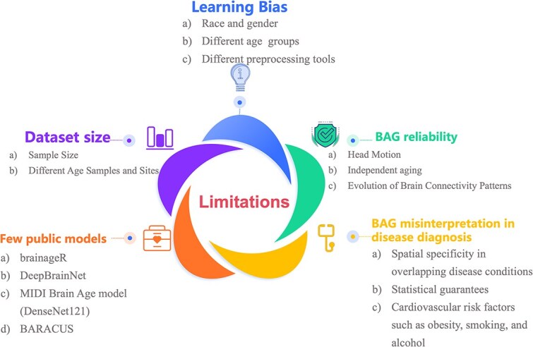 A review of artificial intelligence-based brain age estimation and its applications for related diseases.