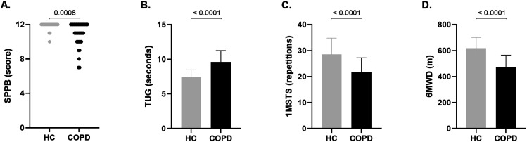 Functional status in COPD: Comparison with healthy controls and impact of an exacerbation.