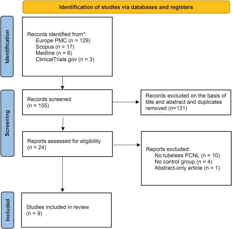Comparison of External Ureteral Catheter and Double-J stent as Drainage Methods for Tubeless Percutaneous Nephrolithotomy: A Systematic Review and Meta-Analysis.
