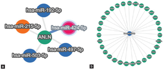MicroRNA Expression and Target Prediction in Children with Nephrotic Syndrome.