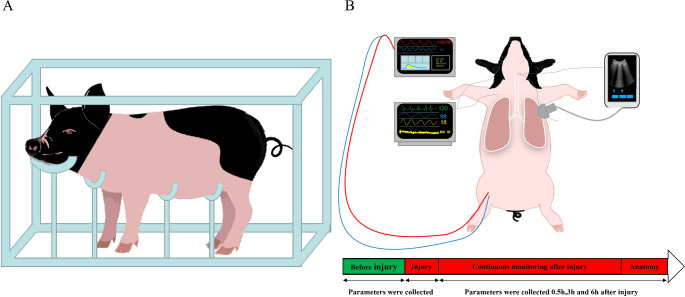 Dynamic pathophysiological features of early primary blast lung injury: a novel functional incapacity pig model.