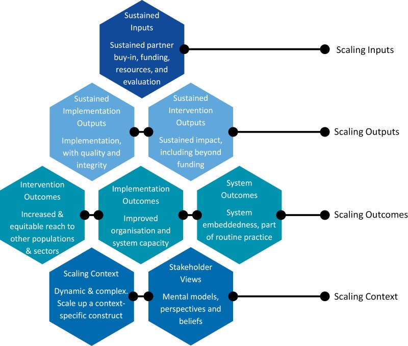 Scale-up influences and definitions of scale-up 'success': evidence from globally scaled interventions.