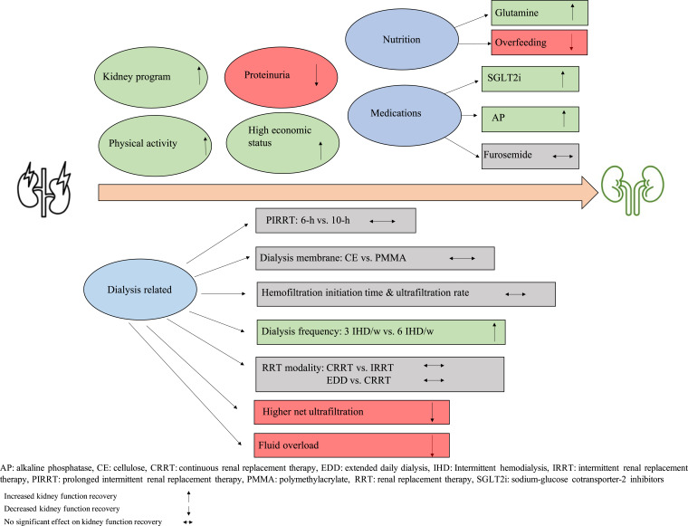 Kidney Recovery after Acute Kidney Injury: A Comprehensive Review.