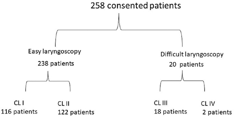 Evaluation of ultrasound measured tongue thickness, tongue thickness-thyromental distance ratio, and skin-to-epiglottis distance in predicting unanticipated difficult laryngoscopy.