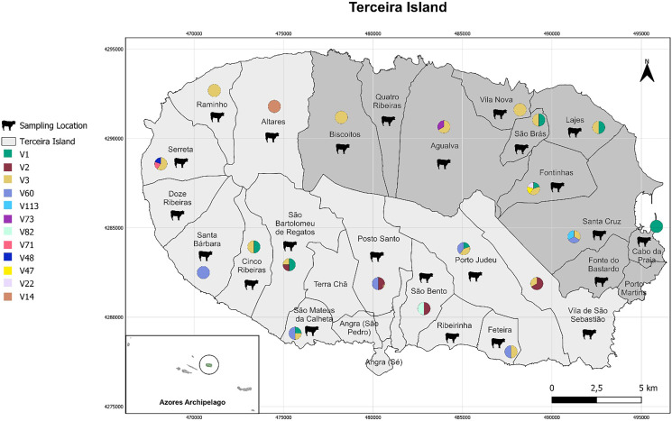 Screening for the ciliate Buxtonella sulcata in free-ranging dairy cattle on Terceira Island, Azores archipelago.