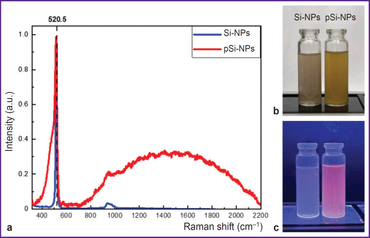 The Impact of Silicon Nanoparticle Porosity on Their Ability to Sensitize Low-Intensity Medical Ultrasound.