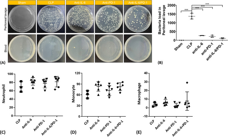 IL-6 and PD-1 antibody blockade combination therapy regulate inflammation and T lymphocyte apoptosis in murine model of sepsis.