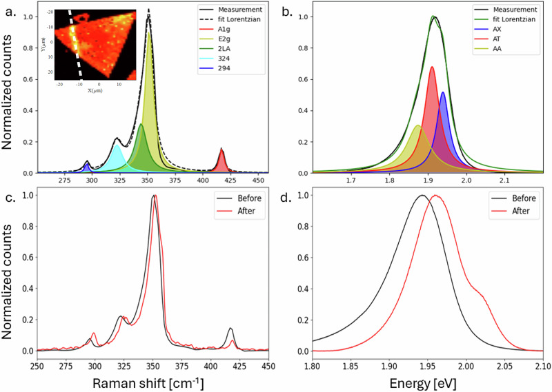 Andreev pair injection into a transition metal dichalcogenide monolayer.