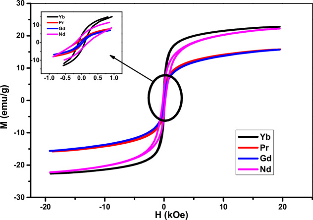 Impact of Gd, Pr, Yb, and Nd doping on the magnetic properties of Mg-ferrite nanoparticles