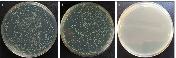 Efficacy of Two Different Concentrations of Iodine-potassium Iodide Solution in Endodontic Retreatment: A Randomised Double-blinded Clinical Trial.