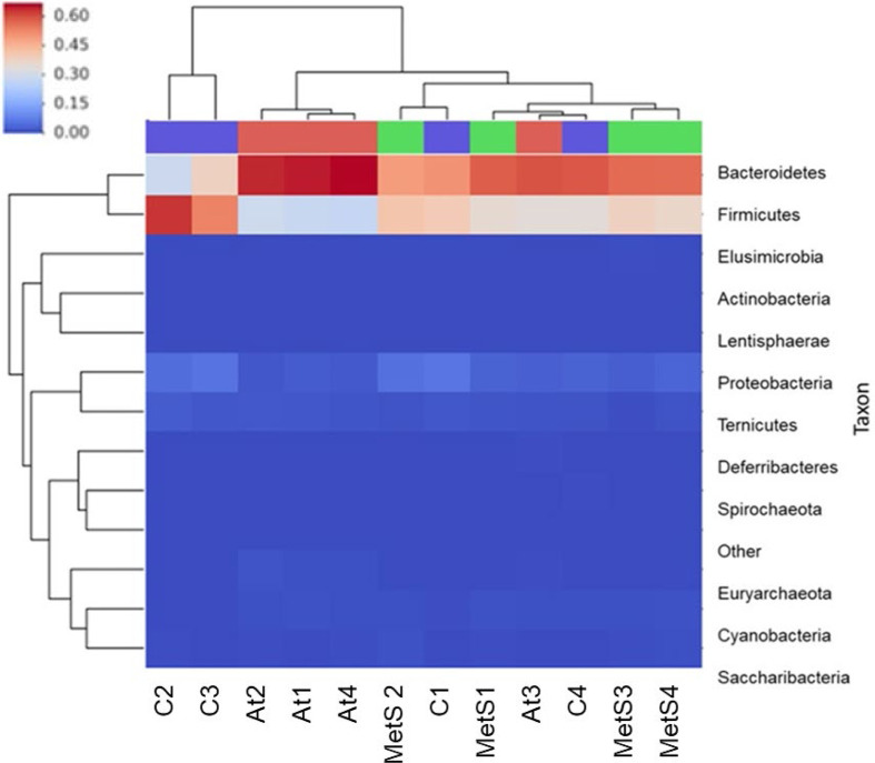 Modulation of the gut microbiota by dietary intervention with <i>Acanthocereus tetragonus</i> improves the health status of Wistar rats with metabolic syndrome.