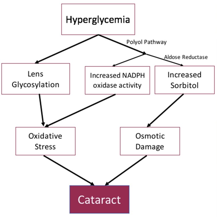 New-onset Type 1 Diabetes Mellitus Presenting as Bilateral Cataracts in a 15-year-old Girl.