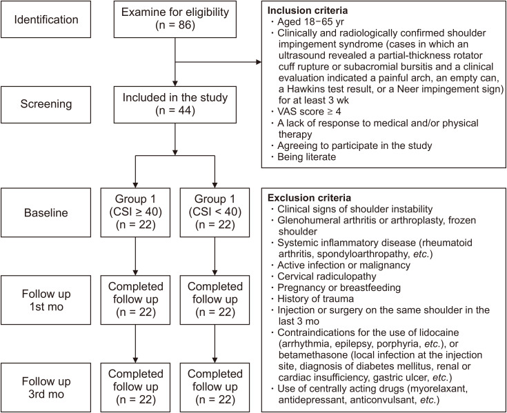 The impact of central sensitization-related symptoms on subacromial steroid injection outcomes in patients with subacromial impingement syndrome: an observational study.