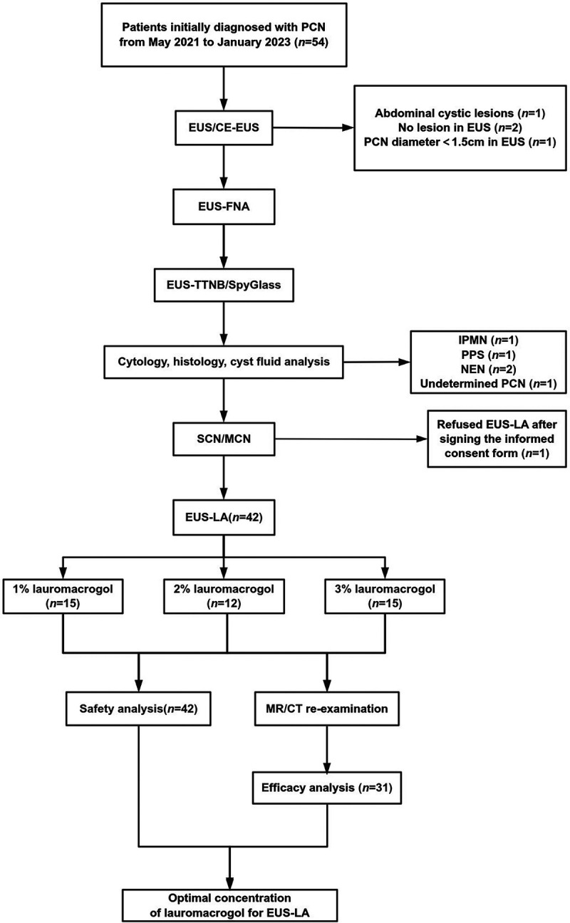 EUS-guided lauromacrogol ablation with different concentrations of lauromacrogol for the treatment of pancreatic cystic neoplasm: A randomized controlled study.