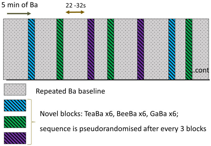 Measuring Speech Discrimination Ability in Sleeping Infants Using fNIRS-A Proof of Principle.