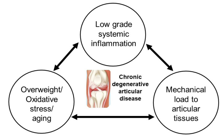 Intra-Articular Injection of Stem Cells for the Regeneration of Knee Joint Cartilage: a Therapeutic Option for Knee Osteoarthritis - a Narrative Review.