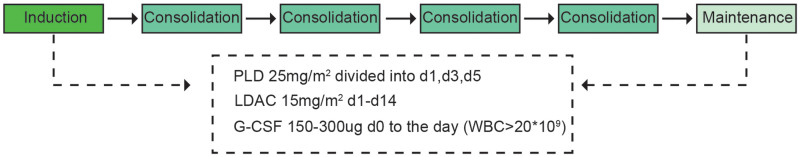 Pegylated Liposomal Doxorubicin Combined with Cytarabine and Granulocyte Colony-Stimulating Factor for Treating Newly Diagnosed Older and Unfit Acute Myeloid Leukemia Patients: A Prospective, Single-Center, Single-arm, Phase II Study.
