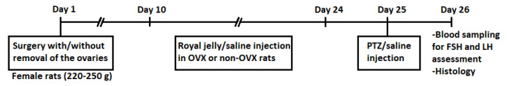 Possible effects of royal jelly against neuronal injury in the hippocampus of ovariectomized rats with pentylenetetrazol-induced seizures: Role of luteinizing and follicle-stimulating hormones.