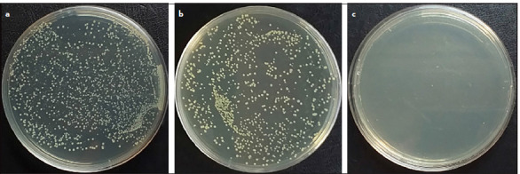 Efficacy of Two Different Concentrations of Iodine-potassium Iodide Solution in Endodontic Retreatment: A Randomised Double-blinded Clinical Trial.