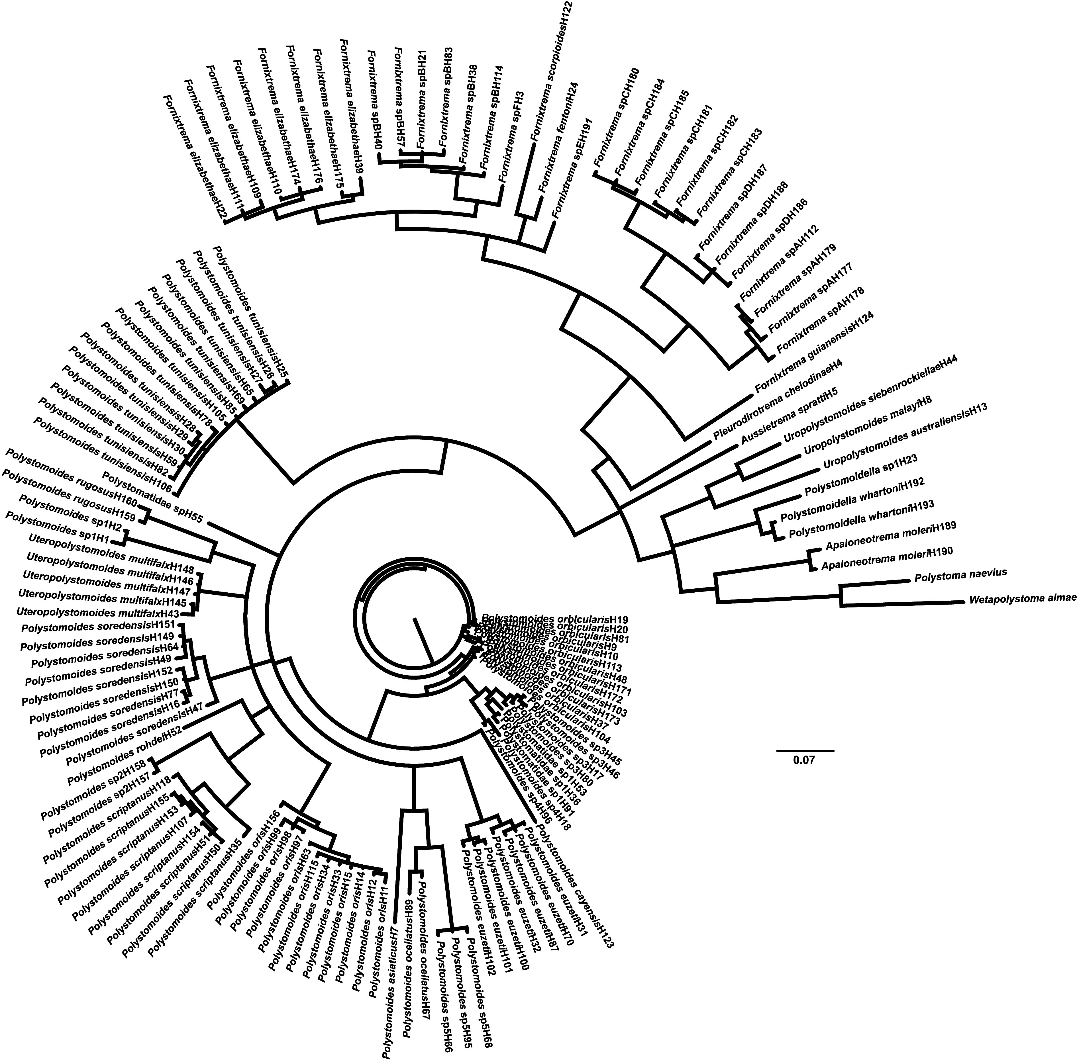 Abstract Image