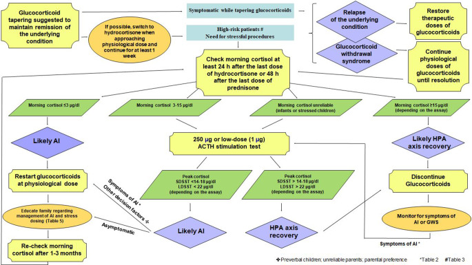 Glucocorticoid treatment and adrenal suppression in children: current view and open issues.