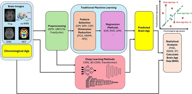 A review of artificial intelligence-based brain age estimation and its applications for related diseases.