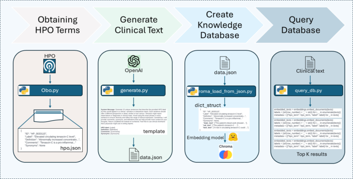 Enhancing human phenotype ontology term extraction through synthetic case reports and embedding-based retrieval: A novel approach for improved biomedical data annotation