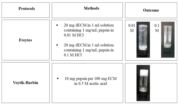 Effectiveness of Voytik-Harbin Protocol in Fabrication of Ram's Testicular-Derived Hydrogel and Its Impact on Mouse <i>In Vitro</i> Spermatogenesis.