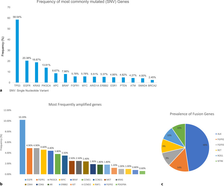 Genomic Landscape of Advanced Solid Tumors in Middle East and North Africa Using Circulating Tumor DNA in Routine Clinical Practice.