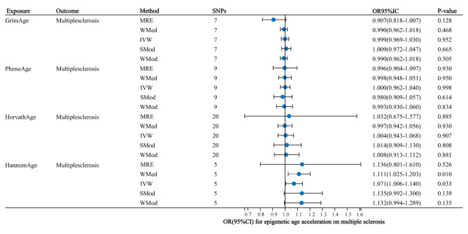 Assessment of relationships between epigenetic age acceleration and multiple sclerosis: a bidirectional mendelian randomization study.