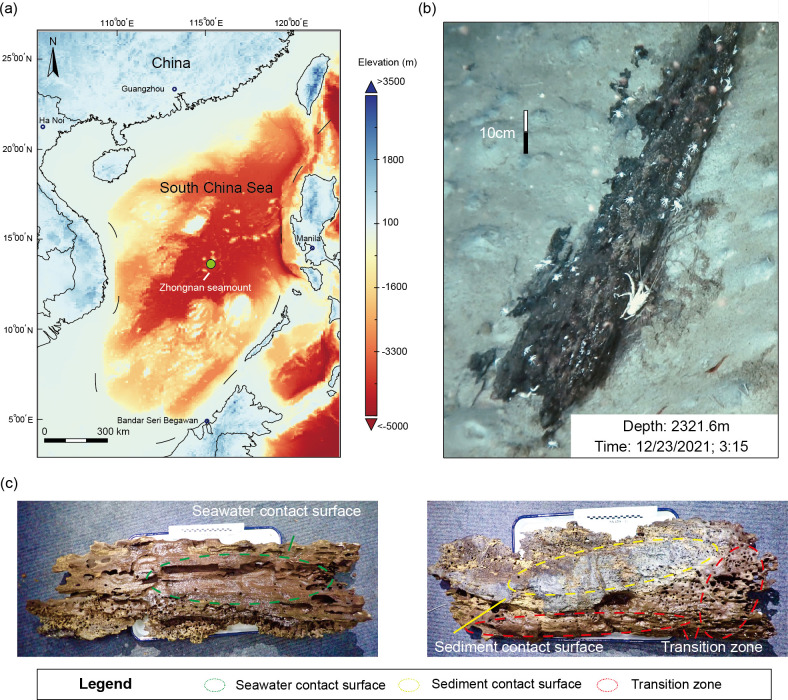 Microbiome dynamics and functional profiles in deep-sea wood-fall micro-ecosystem: insights into drive pattern of community assembly, biogeochemical processes, and lignocellulose degradation.