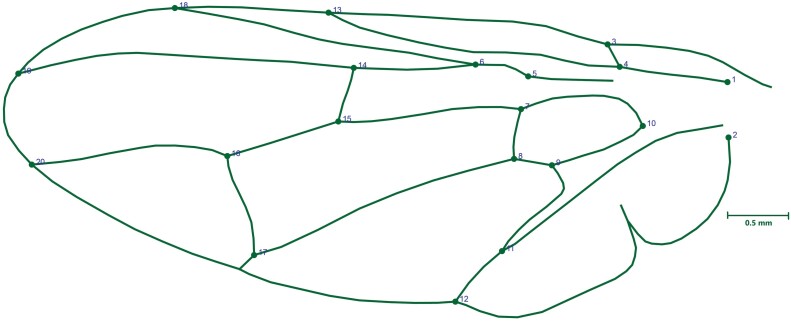 Abstract Image