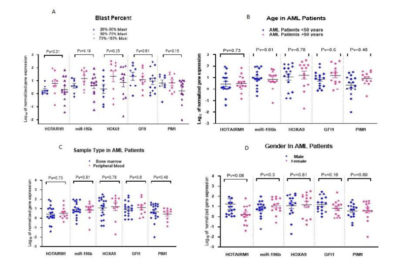 Evaluation of HOTAIRM1, miR-196b, and HOXA9 as Oncogenic Markers in Patients with Acute Myeloblastic Leukemia.