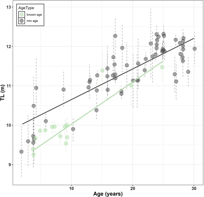 Variation in faecal testosterone levels in male gray whales on a foraging ground relative to maturity and timing.