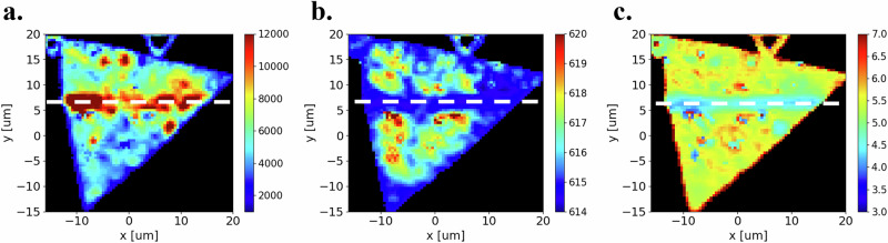Andreev pair injection into a transition metal dichalcogenide monolayer.