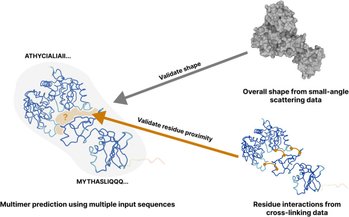 Challenges in bridging the gap between protein structure prediction and functional interpretation.