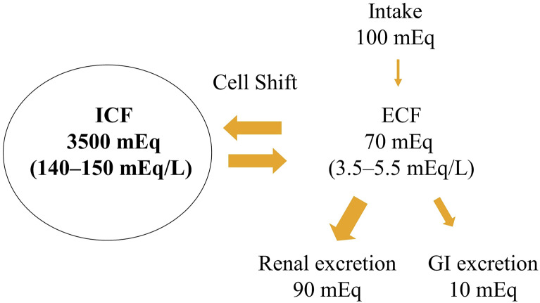 EMCREG-International Multidisciplinary Consensus Panel on Management of Hyperkalemia in Chronic Kidney Disease and Heart Failure.