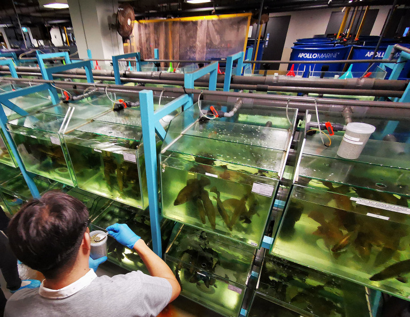 Microbes could convert industrial wastewater into ecofriendly products.