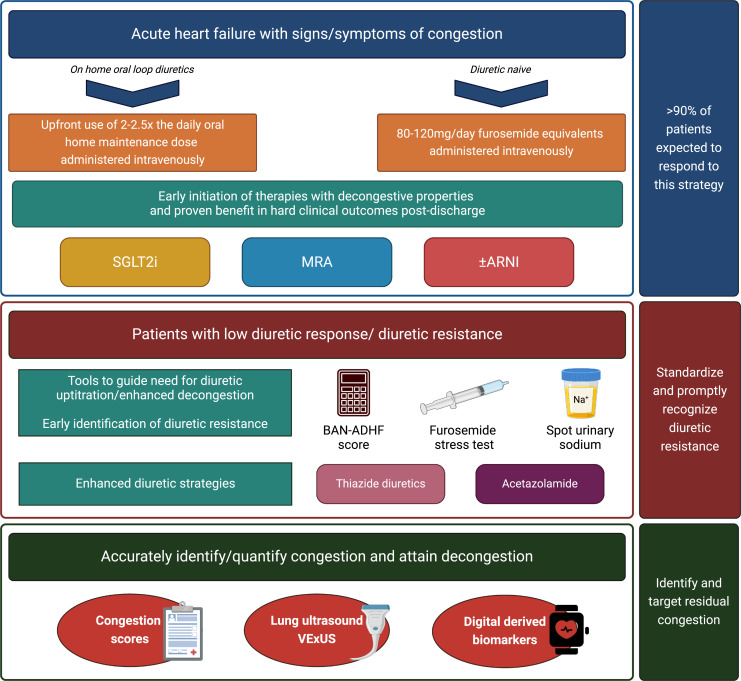 Systematic Review on the Management of Diuretic Resistance in Acute Heart Failure across the Spectrum of Kidney Disease.