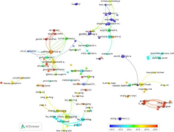 Twenty Years of Neuroinformatics: A Bibliometric Analysis.