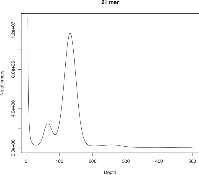Chromosome-level genome assembly of black carp Mylopharyngodon piceus using Nanopore and Hi-C technologies.